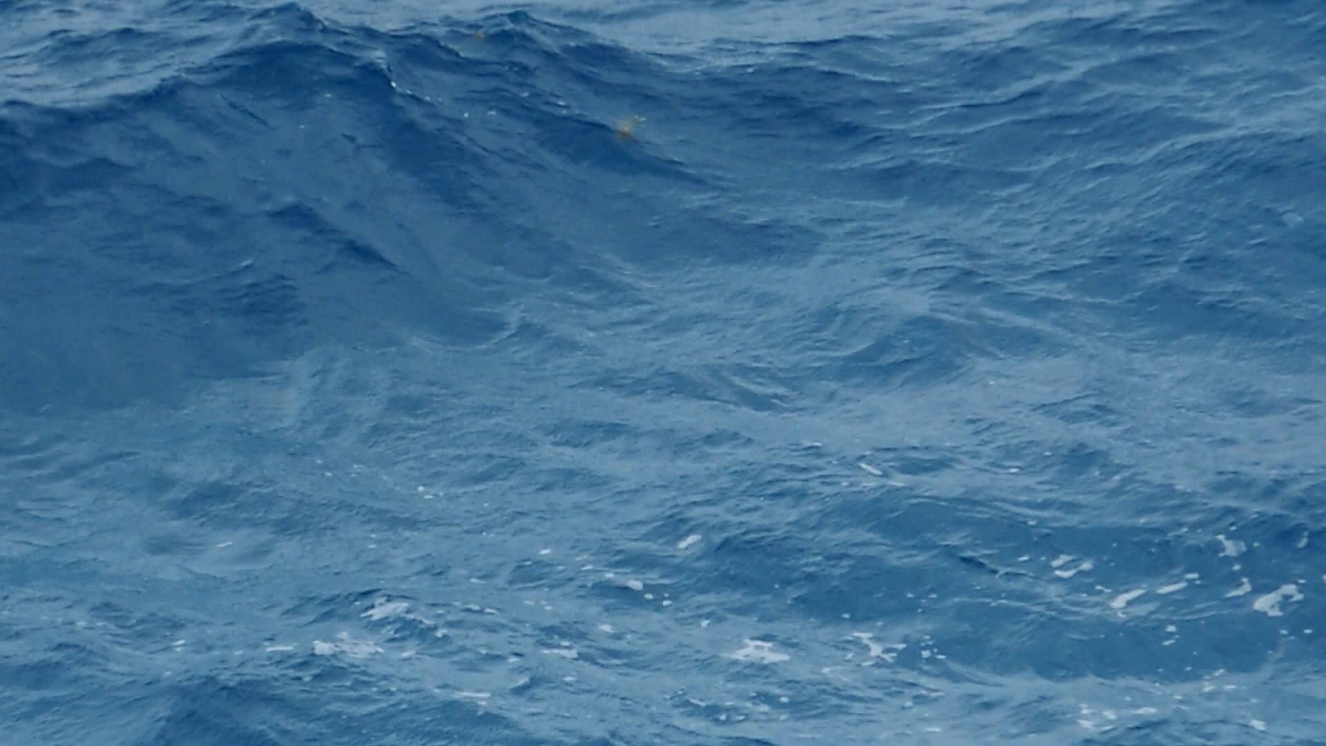 2022-11-05 09 Uhr 13 das Meer (Video)